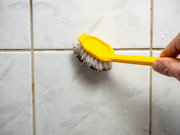 Best Emergency Mold Removal  in Harper Woods, MI