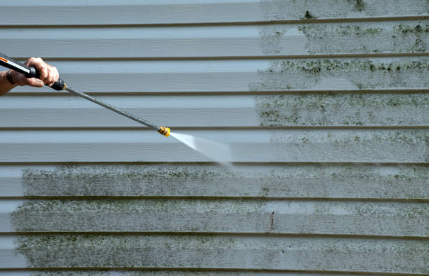 Best Fast Mold Removal  in Harper Woods, MI