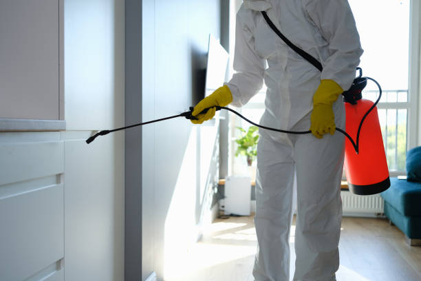 Best Certified Mold Removal  in Harper Woods, MI